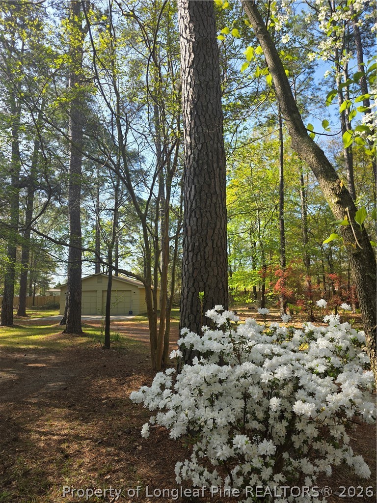 5945 Muscat Road Hope Mills, NC 28348 - Photo 35 of 36 a view of outdoor space with trees