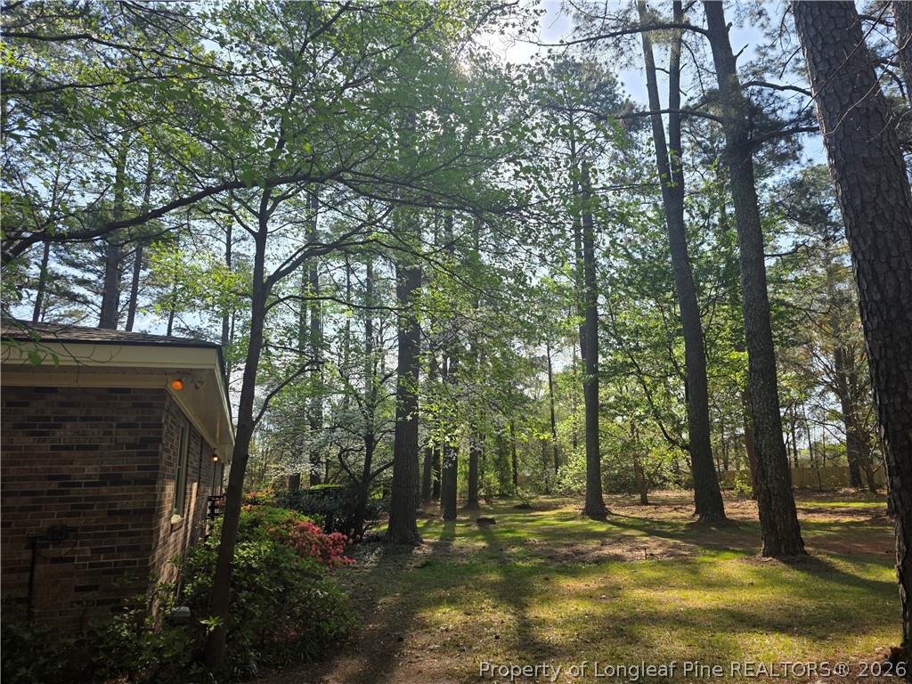 5945 Muscat Road Hope Mills, NC 28348 - Photo 36 of 36 a backyard of a house with lots of green space