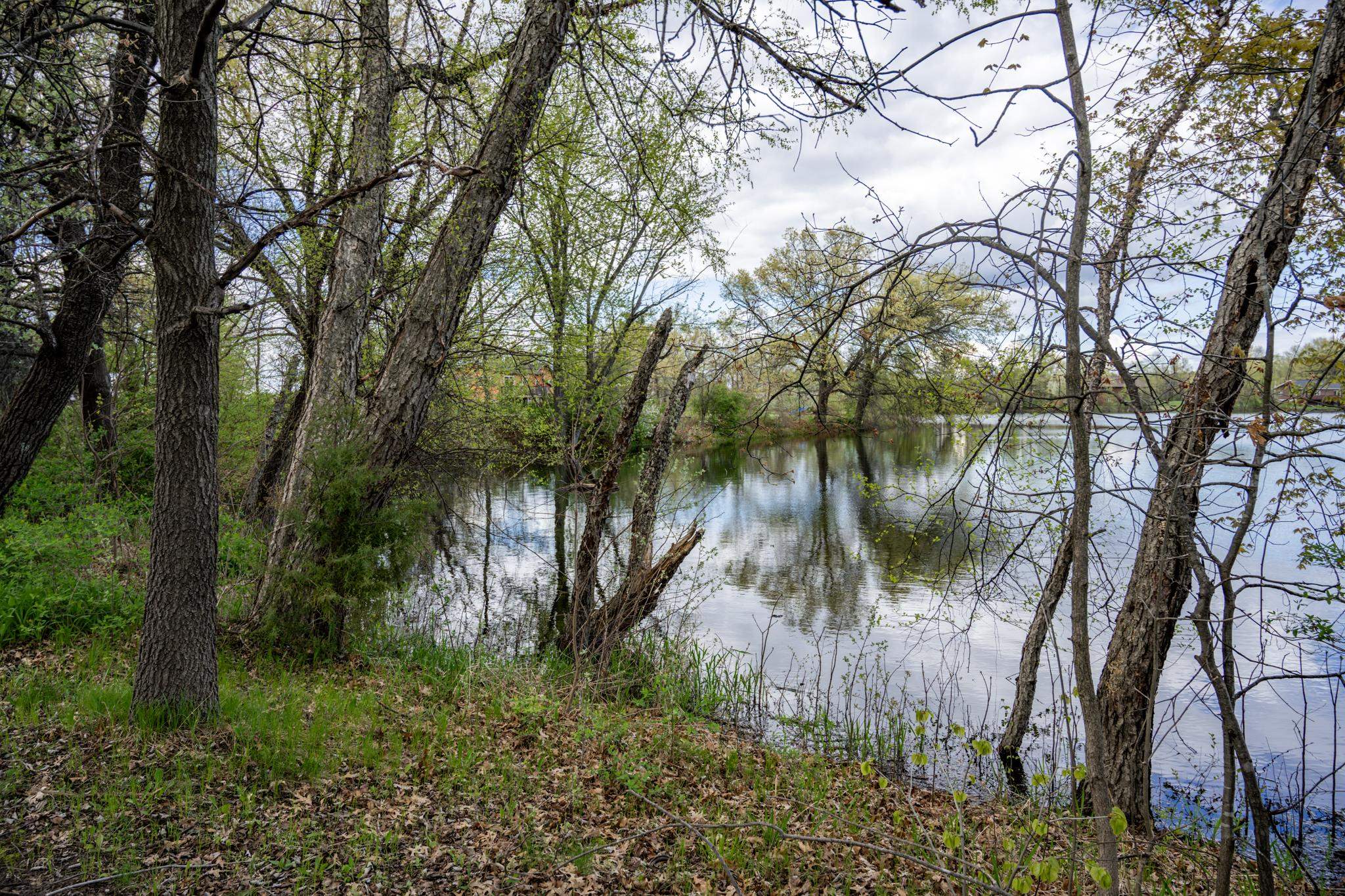 3.66-ac Hog Island Road New Lisbon, WI 53950 - Photo 6 of 12