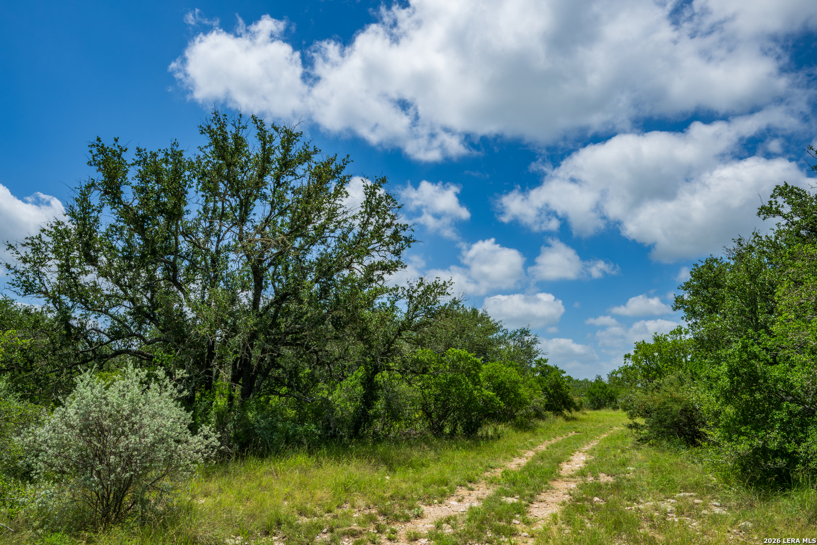 0 Miller Road Uvalde, TX 78801 - Photo 7 of 41