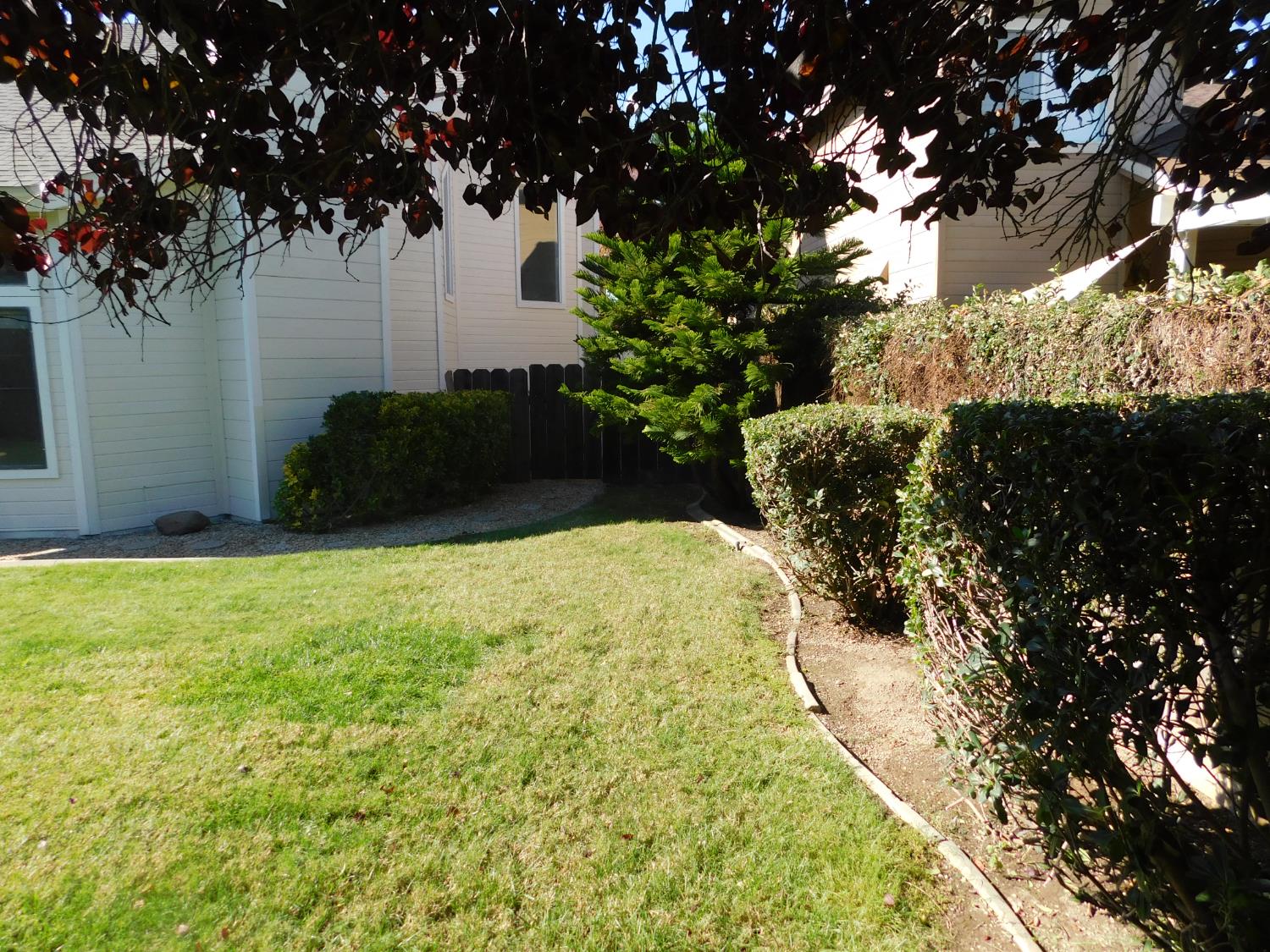 2316 Mountain Quail Way Modesto, CA 95355 - Photo 43 of 49 a view of a yard