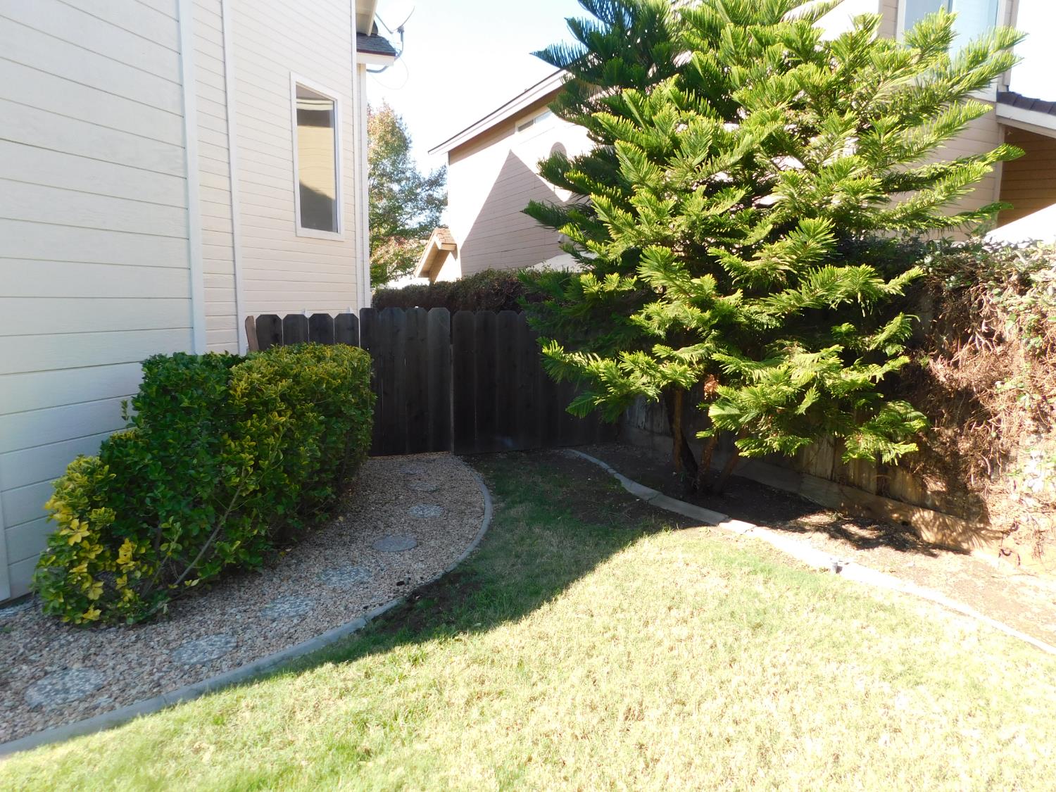 2316 Mountain Quail Way Modesto, CA 95355 - Photo 47 of 49 a view of a garden with plants