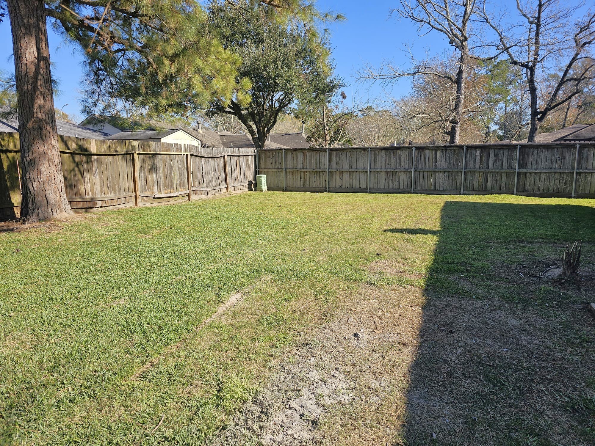 2327 Shadbury Court Houston, TX 77339 - Photo 27 of 32 a view of backyard with large trees