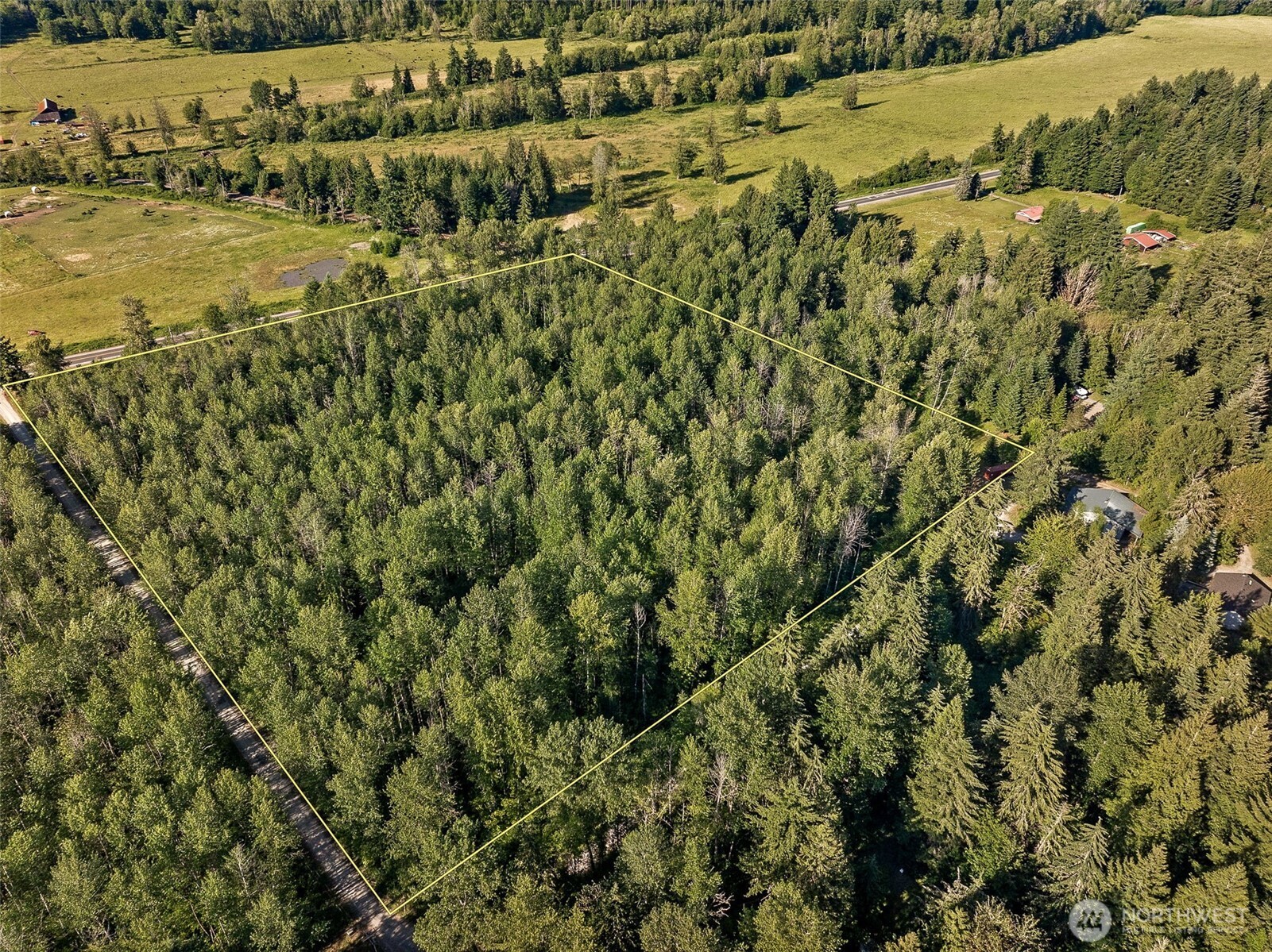 0 Park Junction Road East Elbe, WA 98330 - Photo 8 of 15