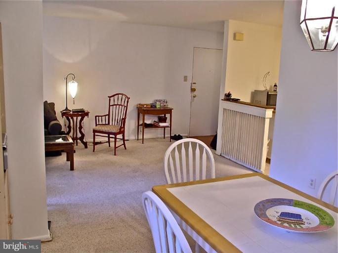2207 Greenery Lane, Unit T2 Silver Spring, MD 20906 - Photo 17 of 27 large social space