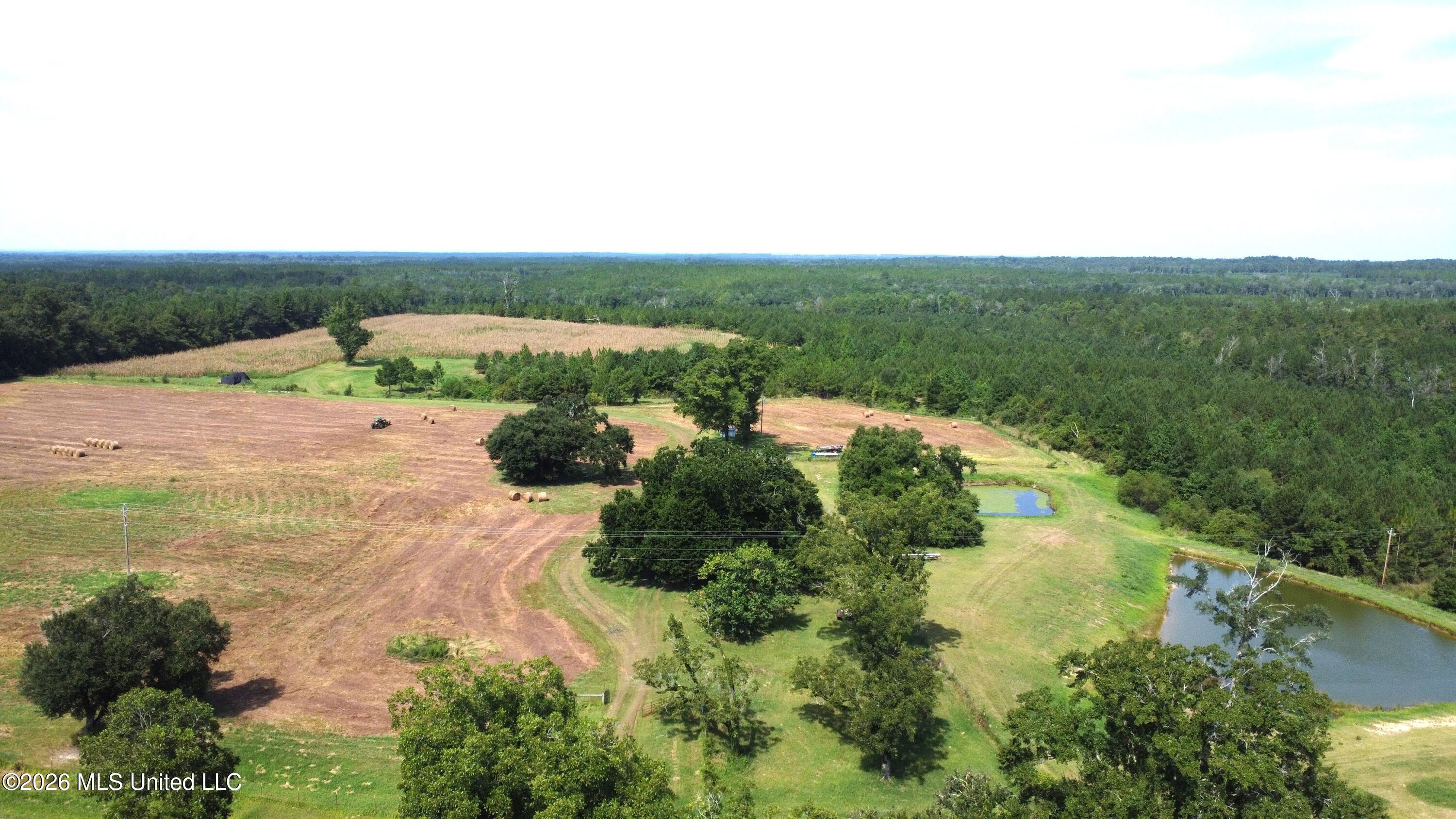 64.9 Neely Avera Road Neely, MS 39461 - Photo 5 of 12 DJI_0445
