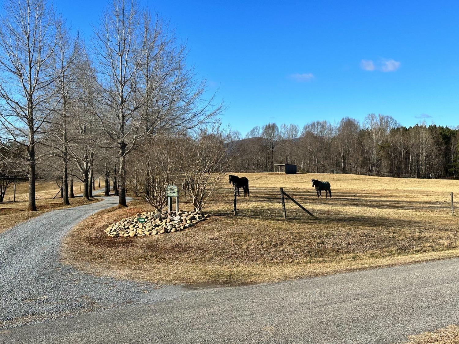 1 Hawkins Ridge Road Goode, VA 24556 - Photo 4 of 8 a view of white house with a yard