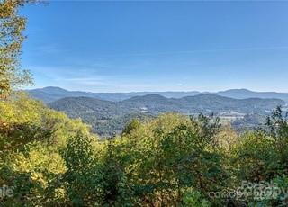 135 Aerial Ridge Waynesville, NC 28785 - Photo 26 of 27 a view of a lush green space with a mountain in the background