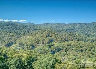 135 Aerial Ridge Waynesville, NC 28785 - Photo 27 of 27 a view of a big yard