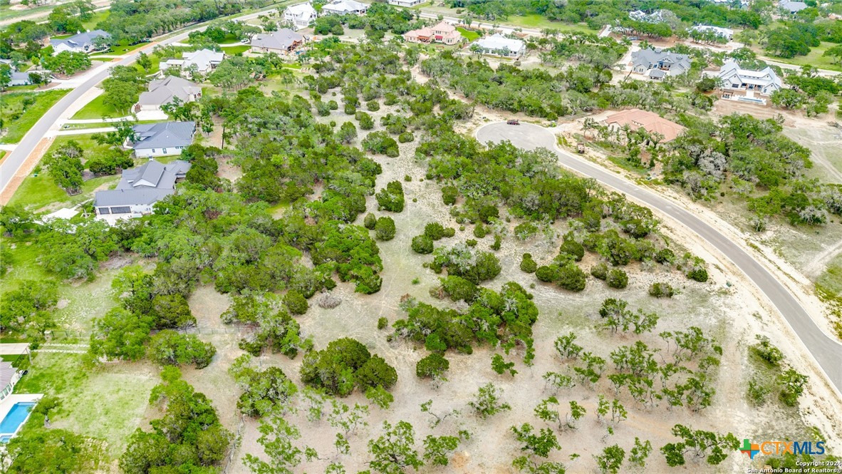980 Scarlett Ridge Drive Bulverde, TX 78163 - Photo 11 of 13 a view of a yard with plants