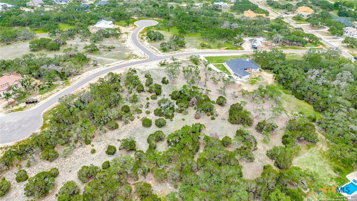 980 Scarlett Ridge Drive Bulverde, TX 78163 - Photo 13 of 13 a view of yard with green space