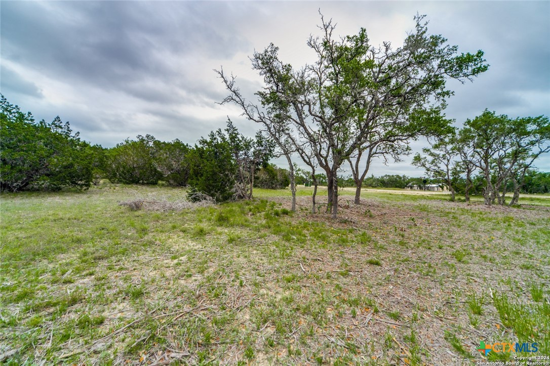 980 Scarlett Ridge Drive Bulverde, TX 78163 - Photo 6 of 13 a view of outdoor space with trees all around
