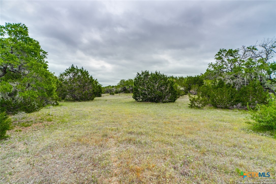 980 Scarlett Ridge Drive Bulverde, TX 78163 - Photo 7 of 13 a view of a big yard with plants and large trees