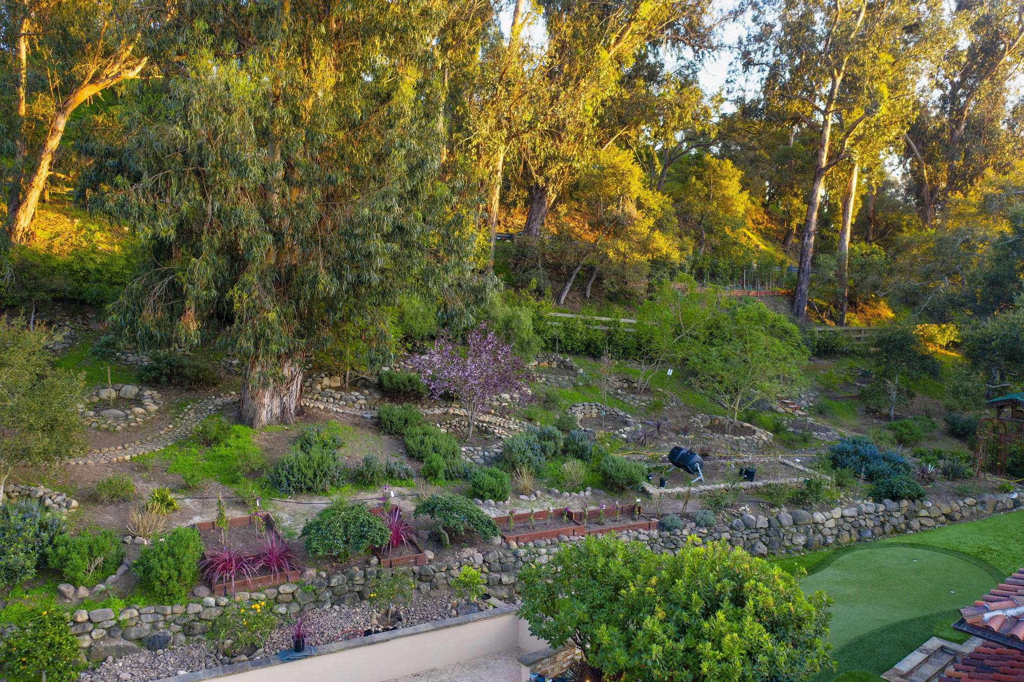 2020 Creekside Road Montecito, CA 93108 - Photo 23 of 29 Drought tolerant landscaping