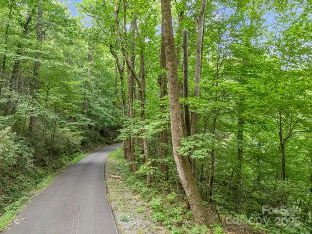 a view of outdoor space and trees