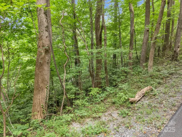 $45,000 | 0 Mistletoe Park, Lake Lure, NC 28746