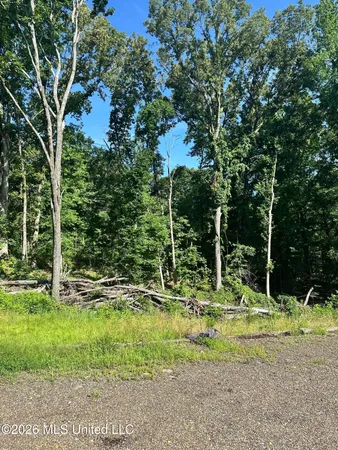 $90,000 | 130 Kimes Cove, Sardis, MS 38666