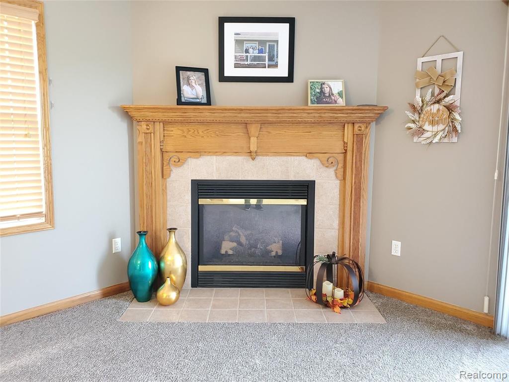 16066 South Duffield Road Byron, MI 48418 - Photo 13 of 41