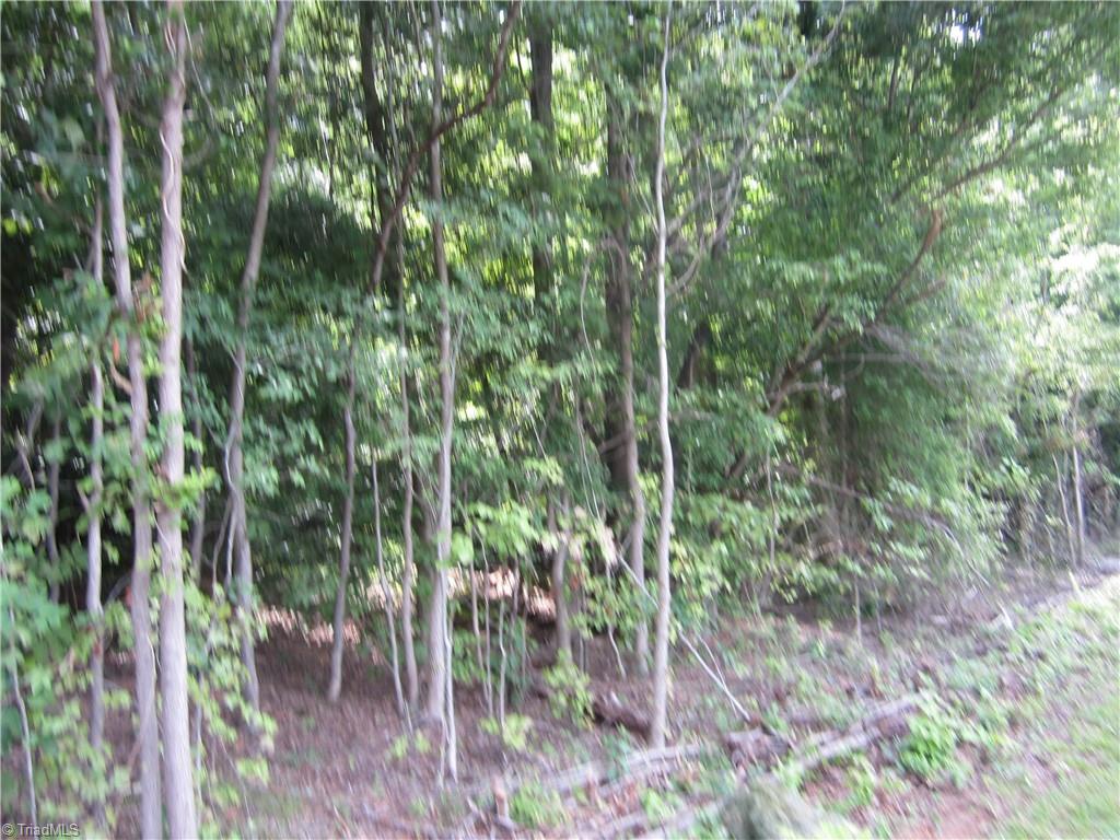 1881 Beckner Road Lexington, NC 27292 - Photo 1 of 1 Gallery Image 1