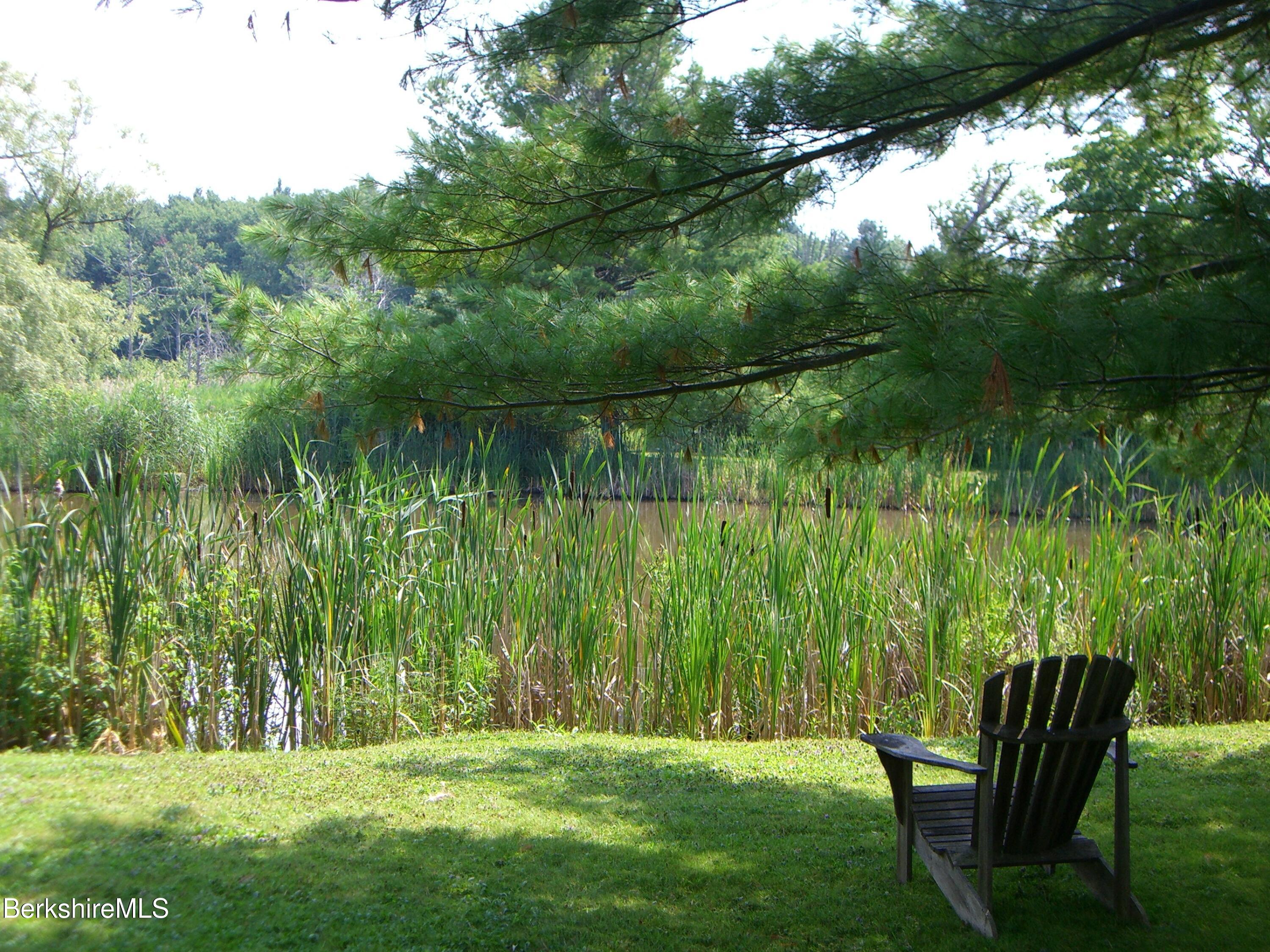 2 Wallace Road, Unit 2E Stockbridge, MA 01262 - Photo 50 of 50 a backyard of a house with lots of green space
