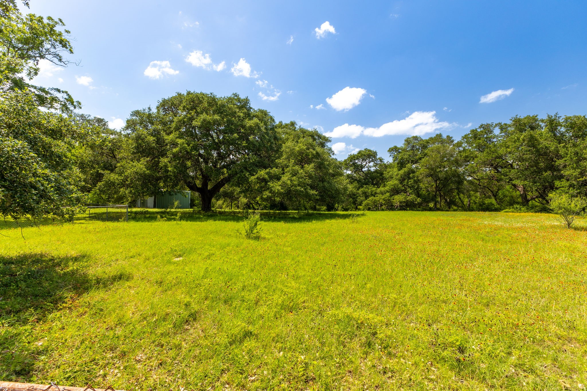 3505 Brunes Mill Road Columbus, TX 78934 - Photo 47 of 49