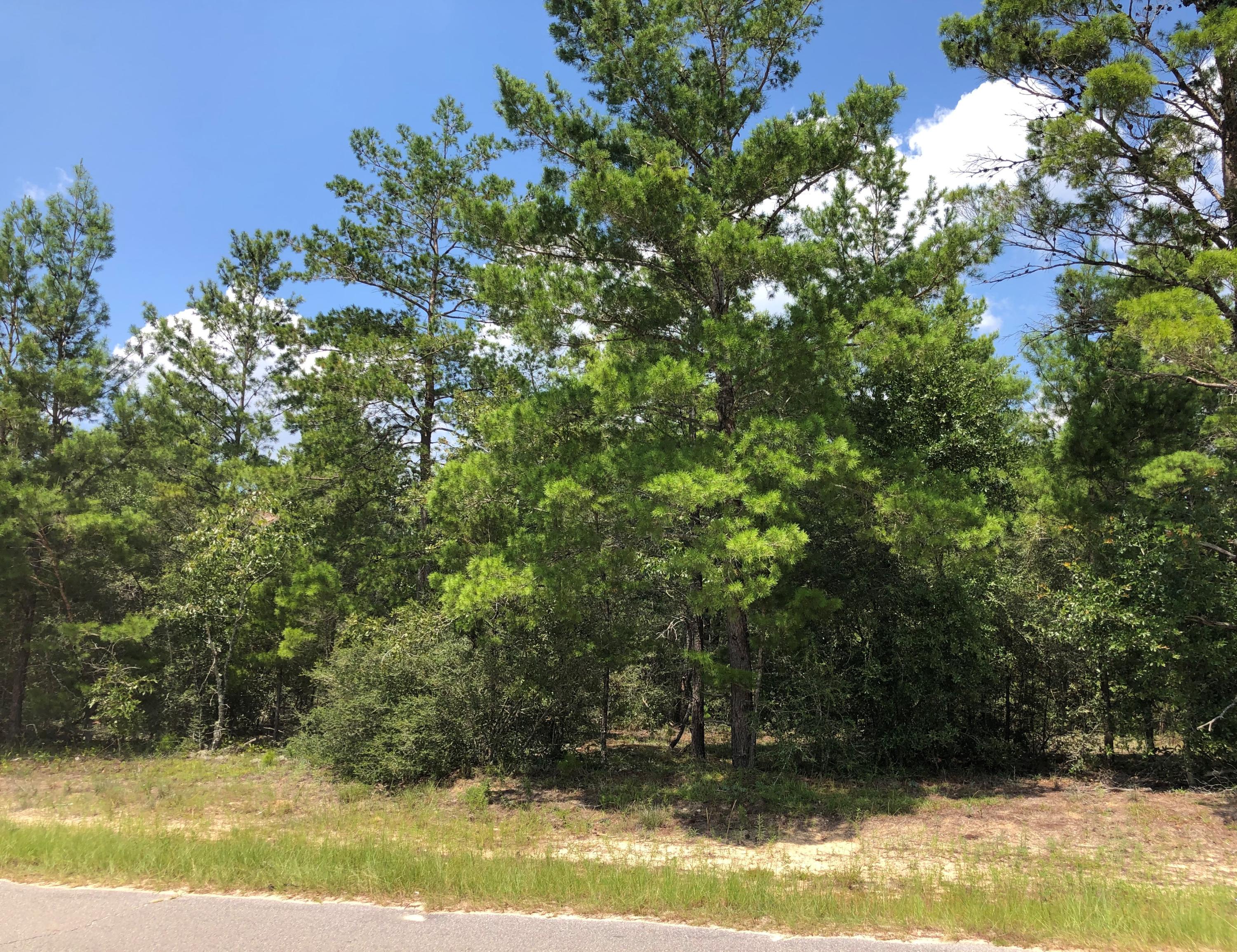 Lot 20 Oakridge Road DeFuniak Springs, FL 32433 - Photo 1 of 1 Lot 20 Oakridge 2