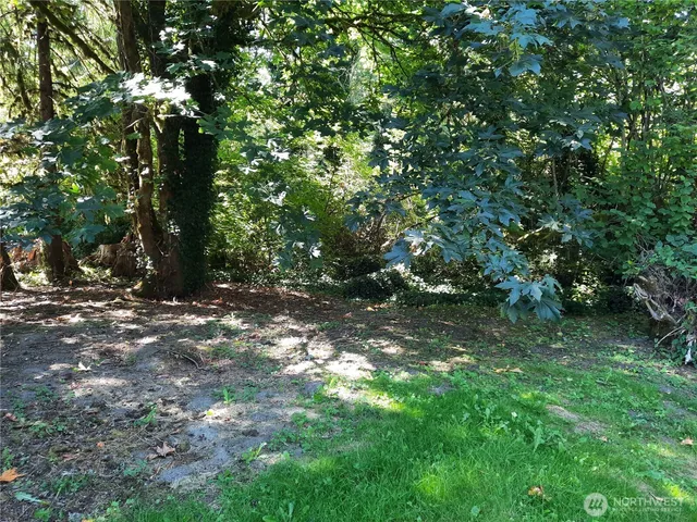 $394,000 | 41498 Cape Horn Drive, Concrete, WA 98237