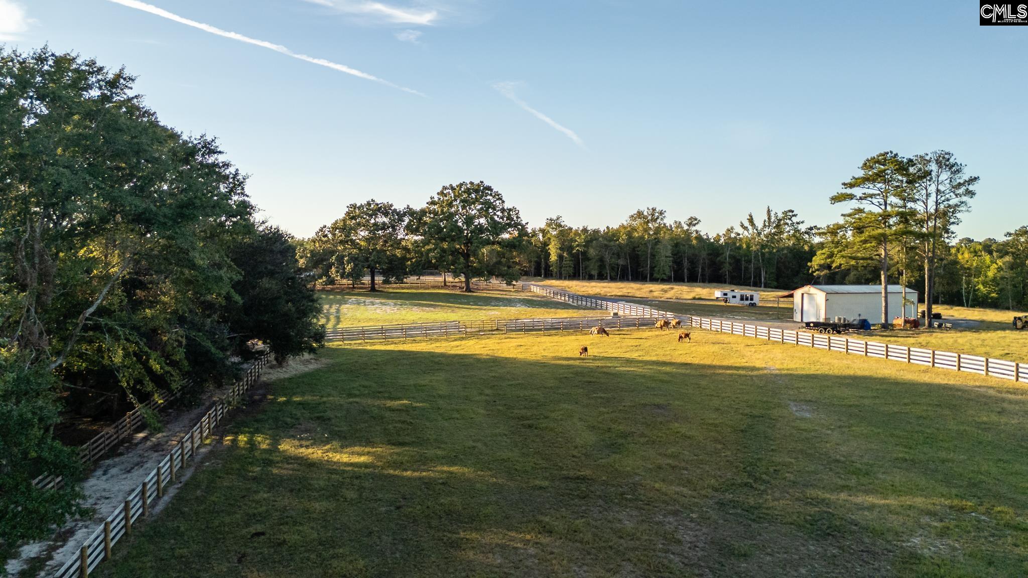307 Henry Stabler Road Swansea, SC 29160 - Photo 44 of 49 Gallery Image 44