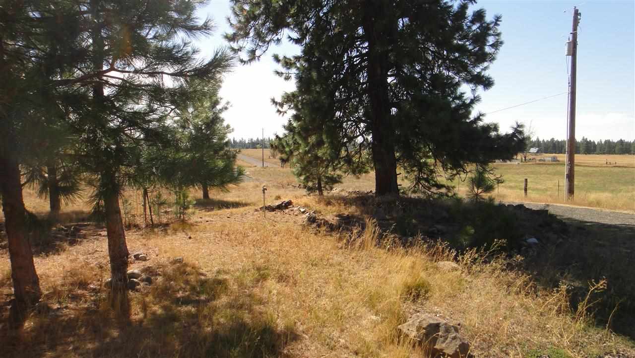 15508 West Lincoln Road Spokane, WA 99224 - Photo 12 of 13