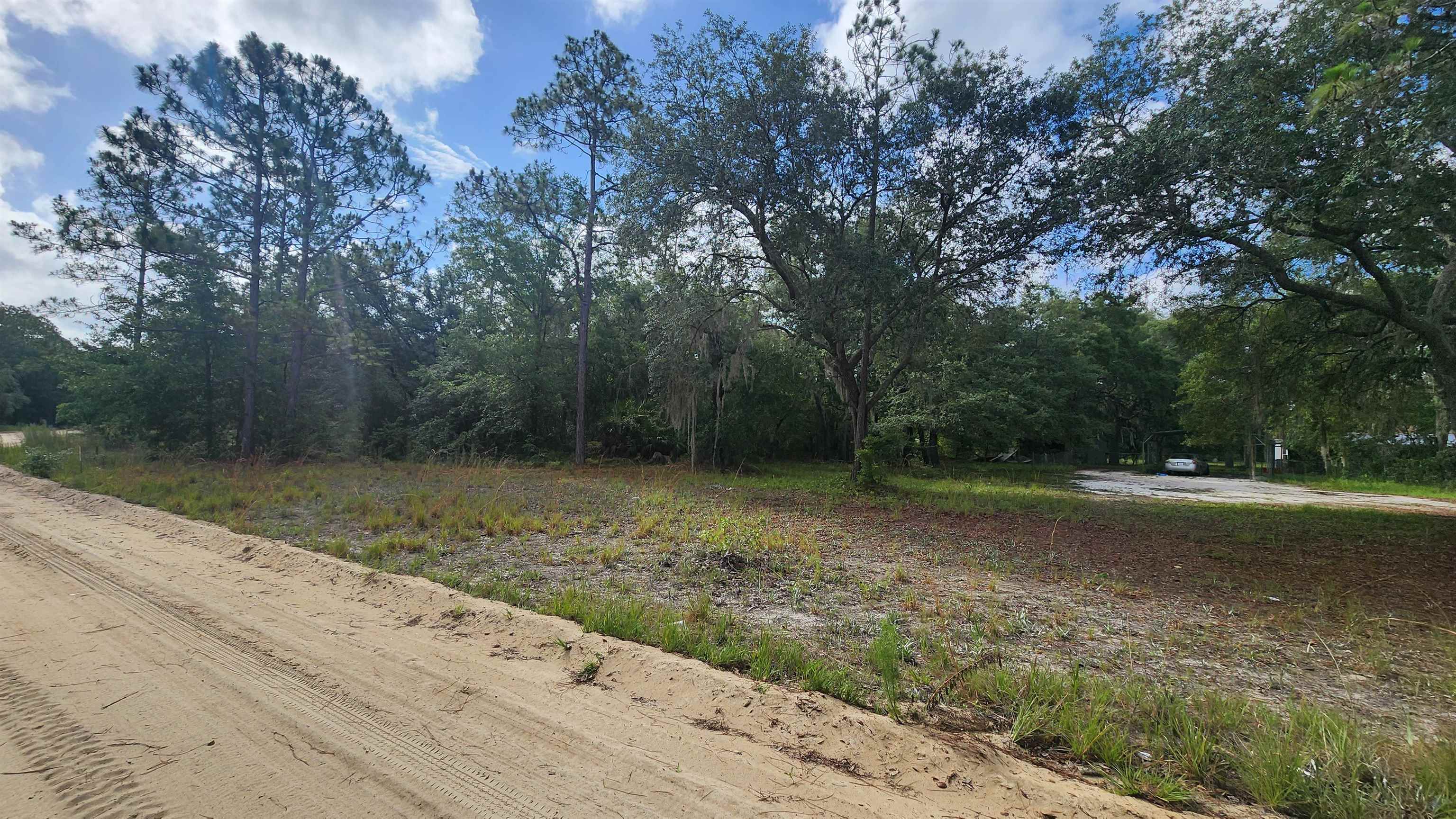 0 Britt Street Interlachen, FL 32148 - Photo 2 of 2 a view of a yard with trees