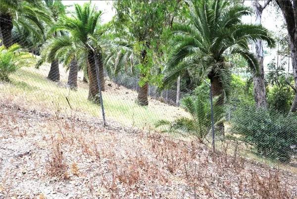 a view of yard with trees
