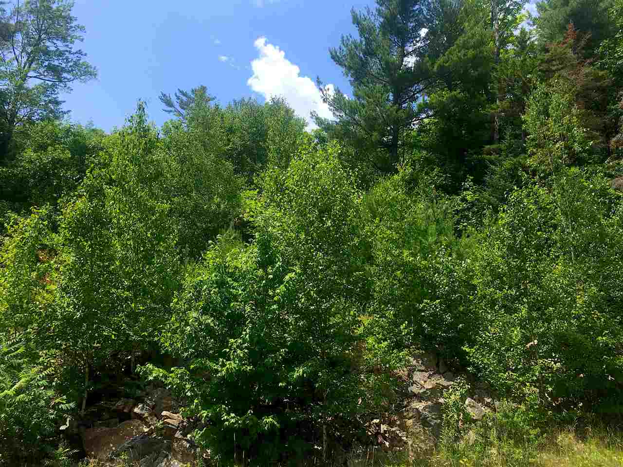 Lot #3 Timmothy Road, Unit 3 Sunapee, NH 03782 - Photo 11 of 13 Gallery Image 11