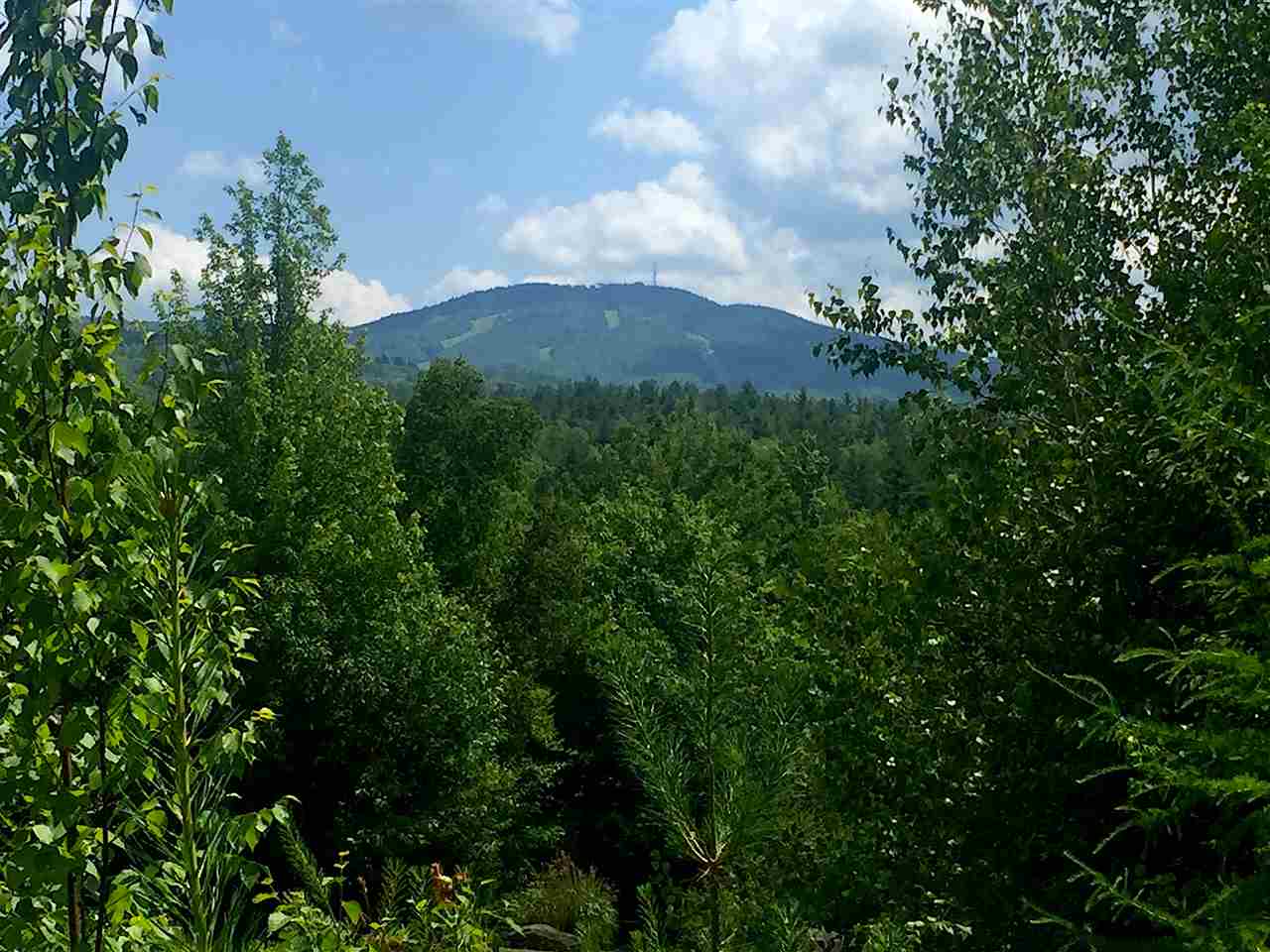 Lot #3 Timmothy Road, Unit 3 Sunapee, NH 03782 - Photo 9 of 13 Gallery Image 9