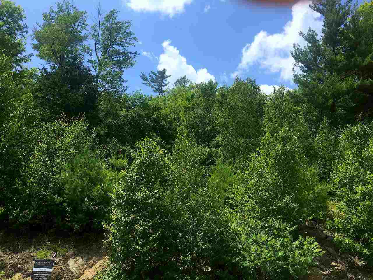 Lot #3 Timmothy Road, Unit 3 Sunapee, NH 03782 - Photo 10 of 13 Gallery Image 10