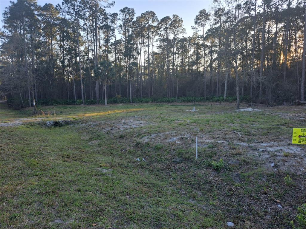 101 Anne Boulevard Georgetown, FL 32139 - Photo 4 of 7 a view of a backyard with large trees