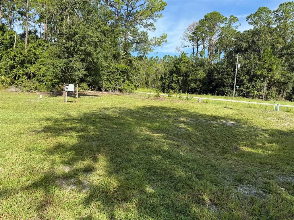 101 Anne Boulevard Georgetown, FL 32139 - Photo 6 of 7 a view of a park with trees in the background