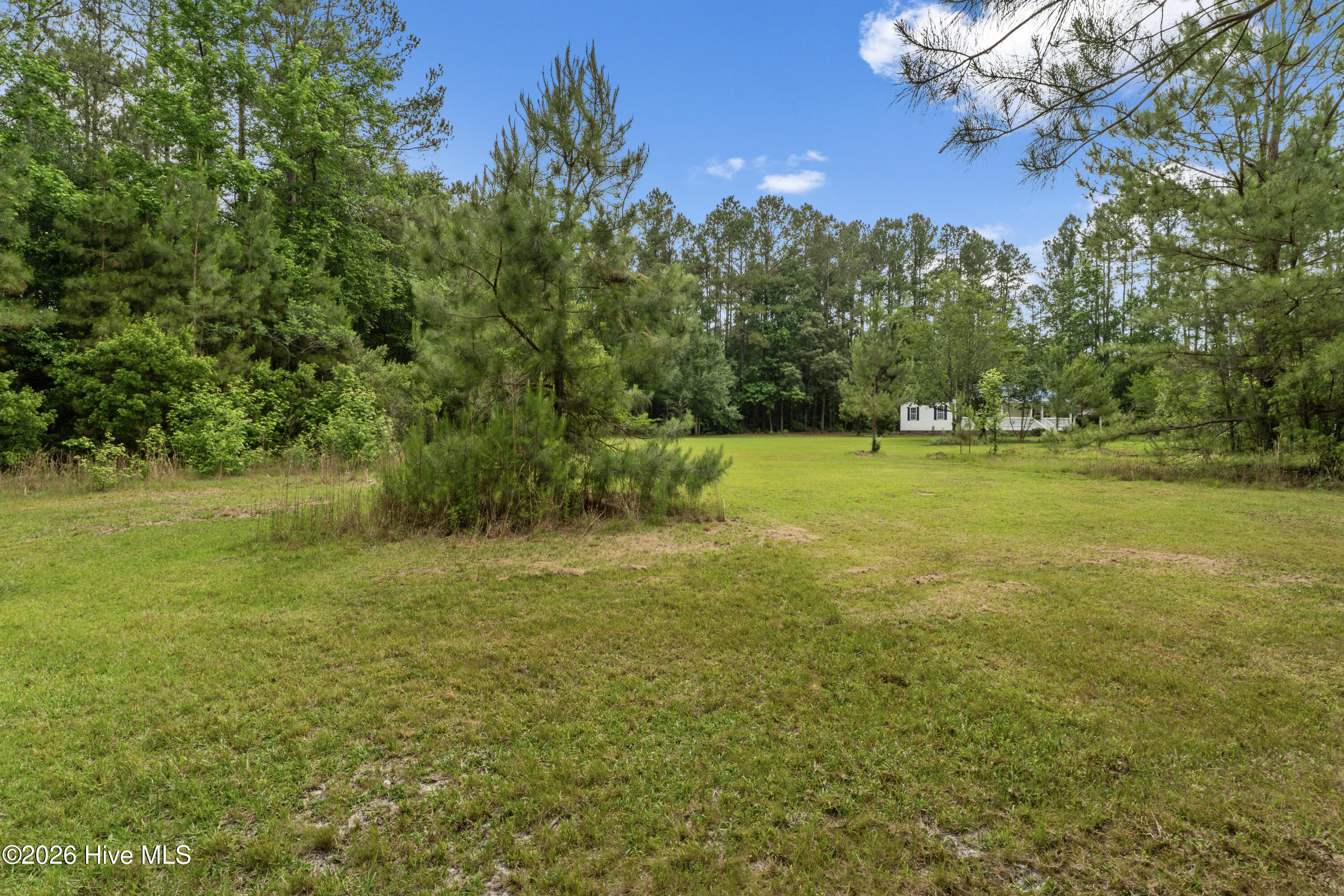 7358 Ivanhoe Road Ivanhoe, NC 28447 - Photo 32 of 38 40-DSC06527