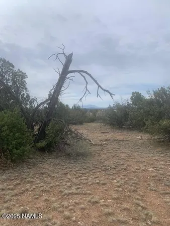 $70,000 | 3864 Mohave Trail, Williams, AZ 86046