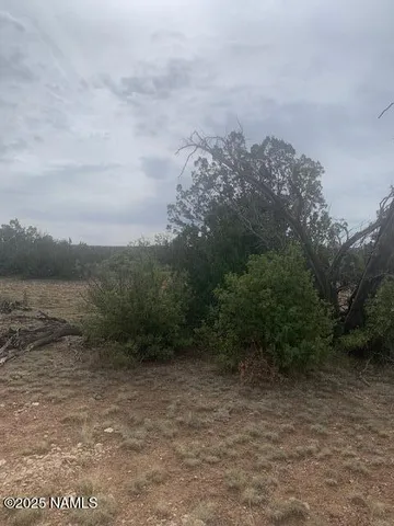 $70,000 | 3864 Mohave Trail, Williams, AZ 86046