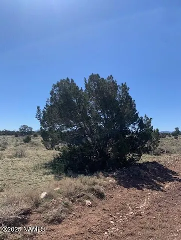 $70,000 | 3864 Mohave Trail, Williams, AZ 86046