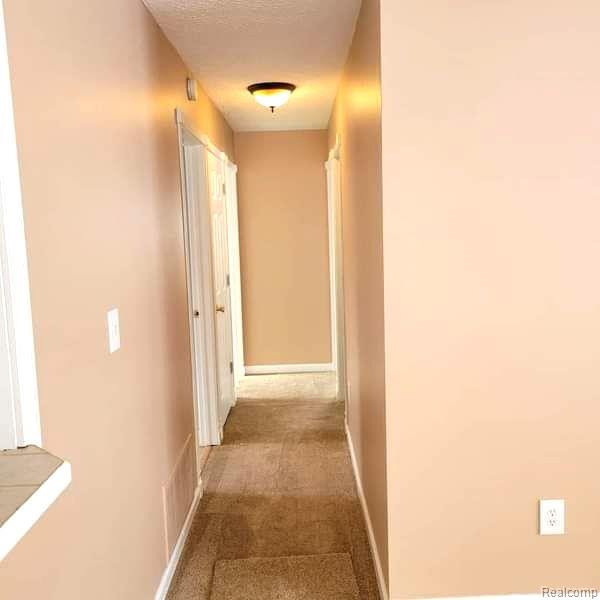 2507 Liter Road Lake Orion, MI 48359 - Photo 19 of 65 Gallery Image 19