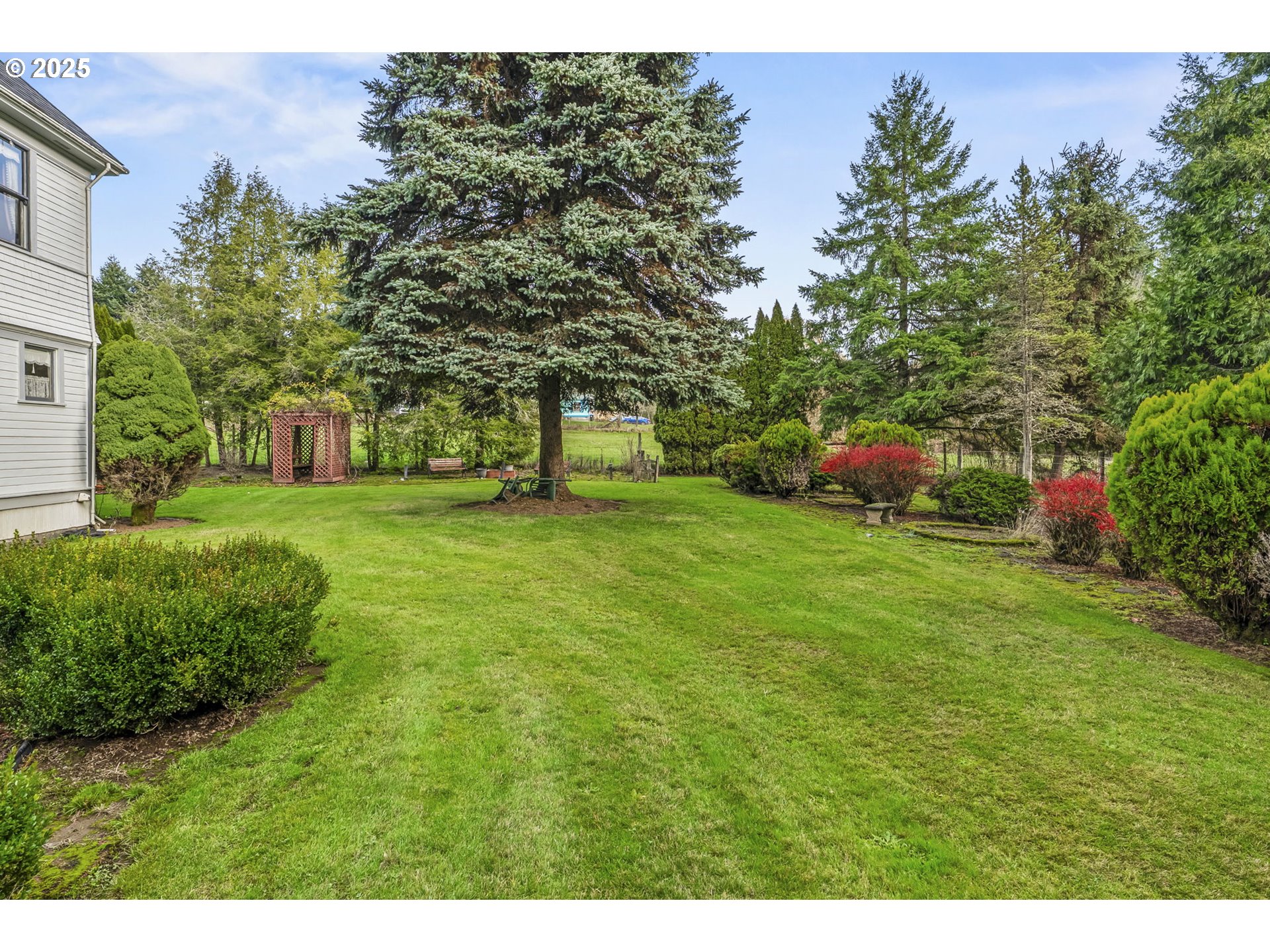 1110 D Street Vader, WA 98593 - Photo 35 of 45 a view of an outdoor space and a yard