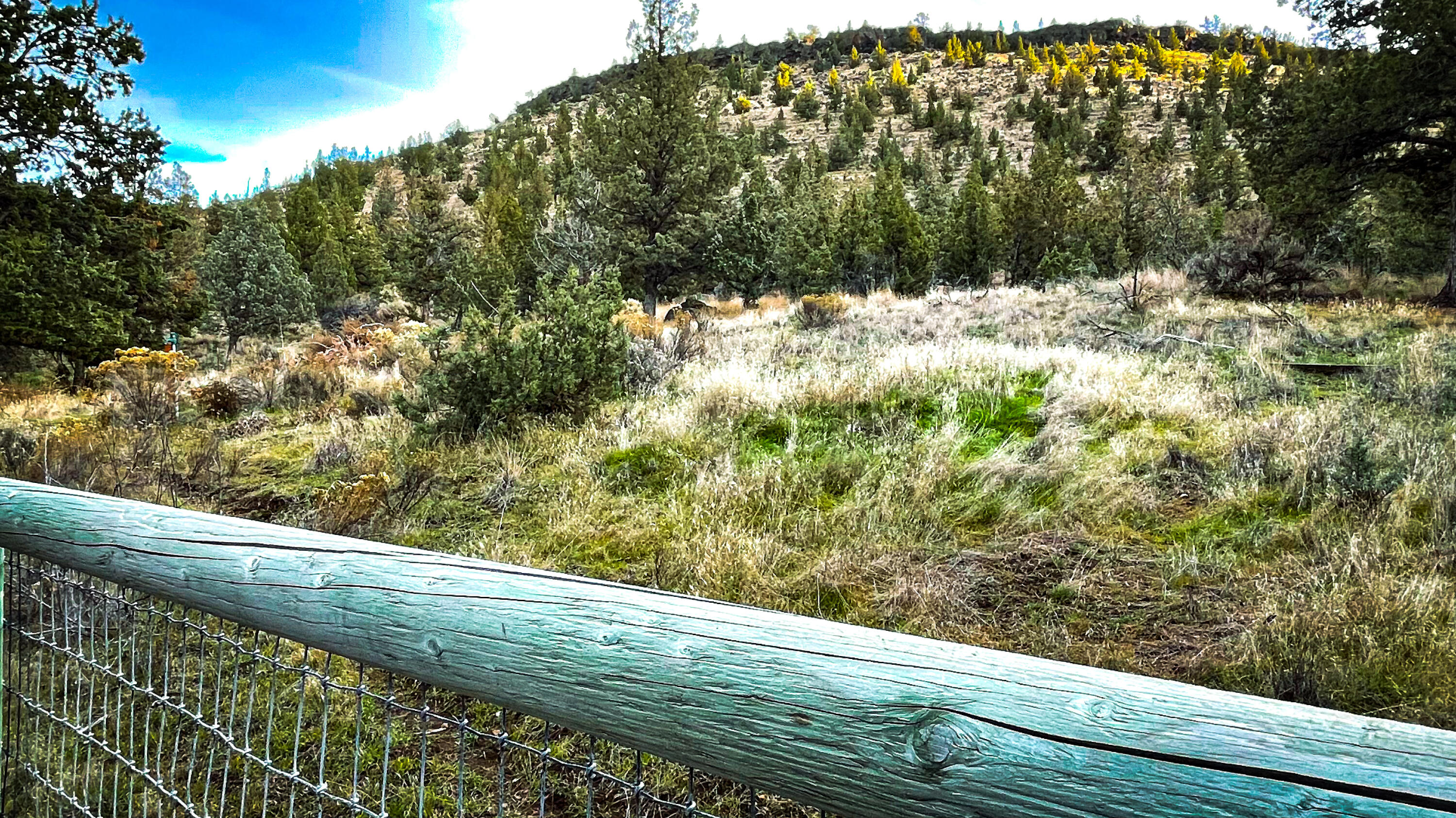1098 Southwest Crestview Road Prineville, OR 97754 - Photo 24 of 26 Property goes back towards butte