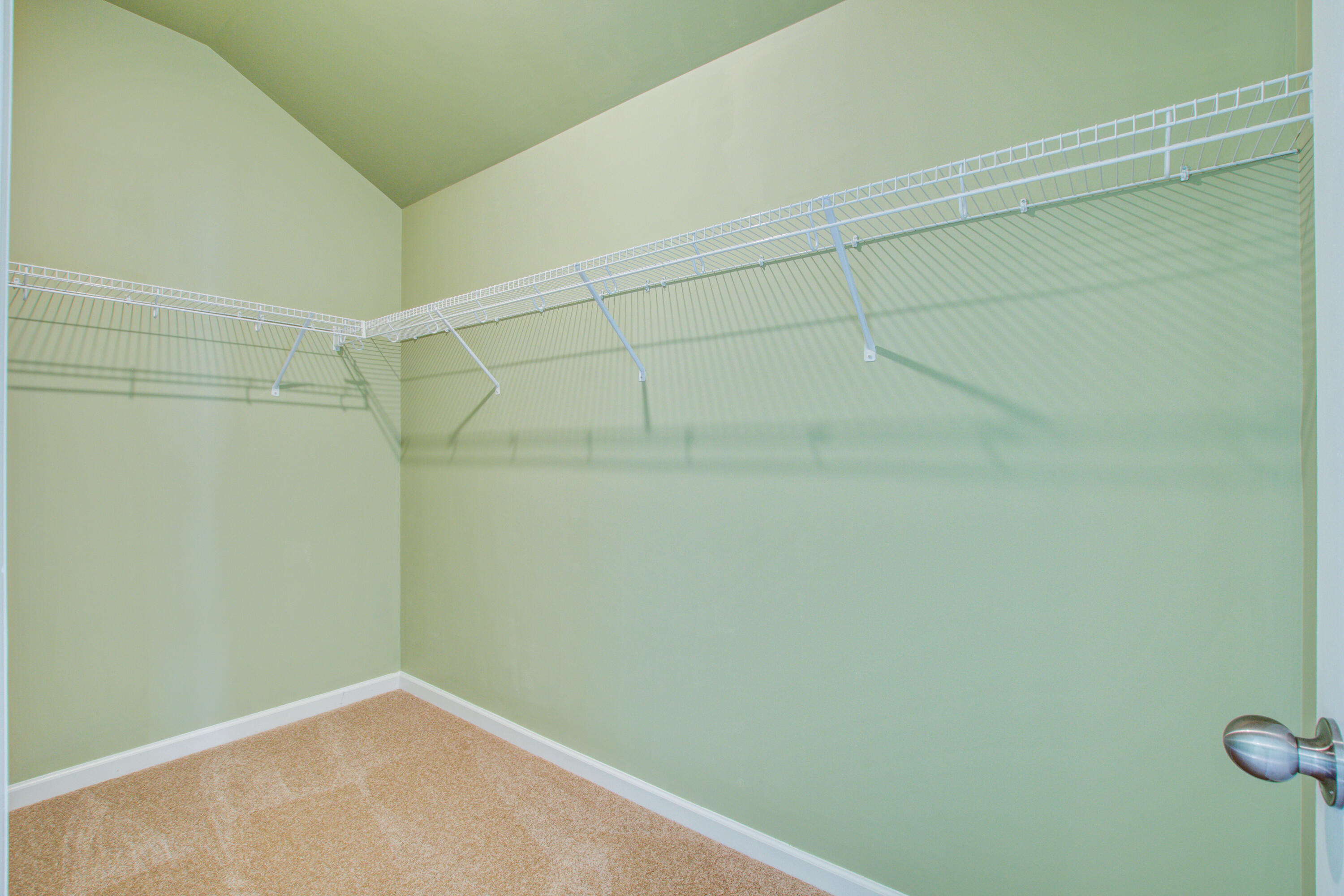 424 Water Orchid Way Moncks Corner, SC 29461 - Photo 22 of 45 2nd Primary Closet 1