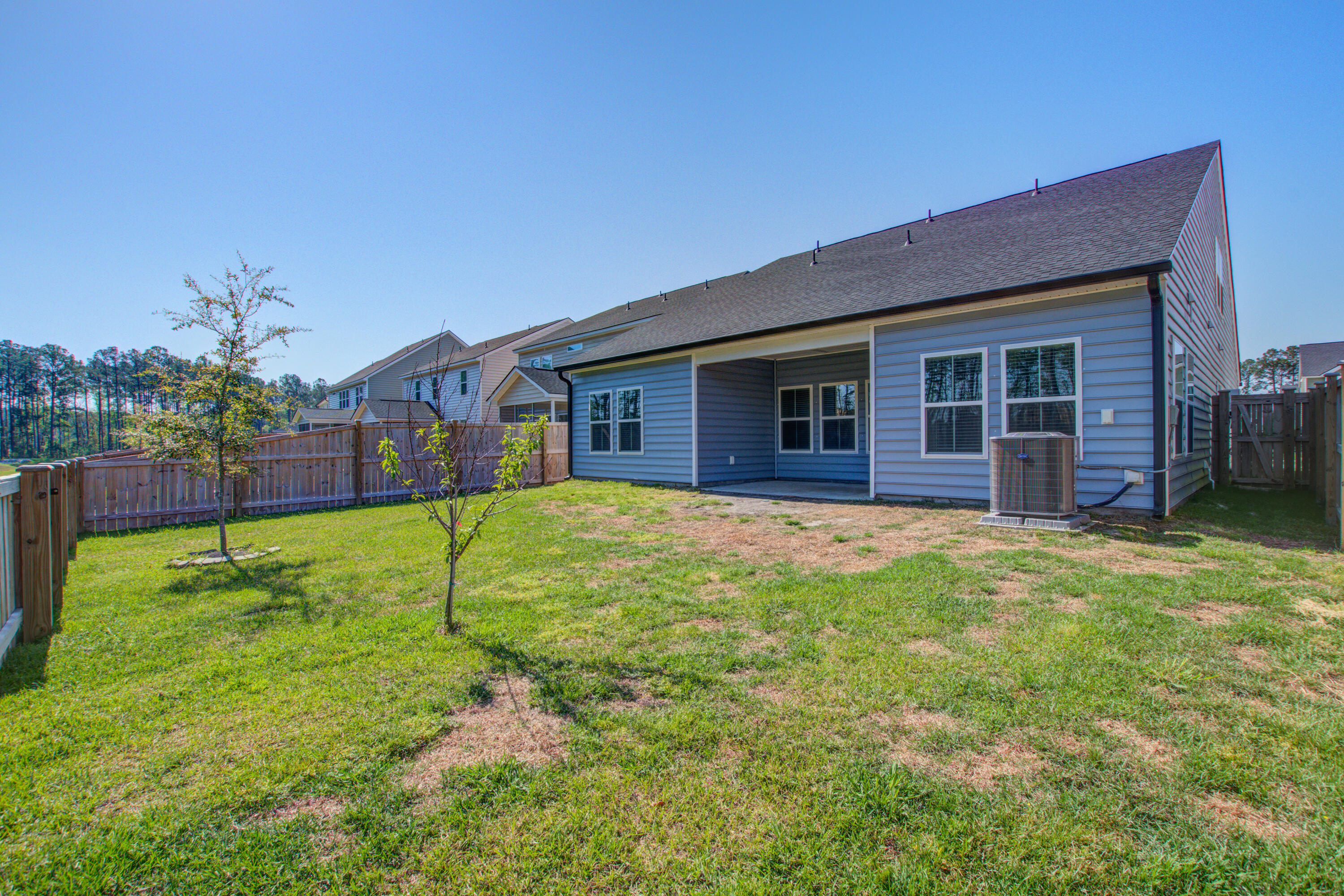 424 Water Orchid Way Moncks Corner, SC 29461 - Photo 25 of 44 Rear View