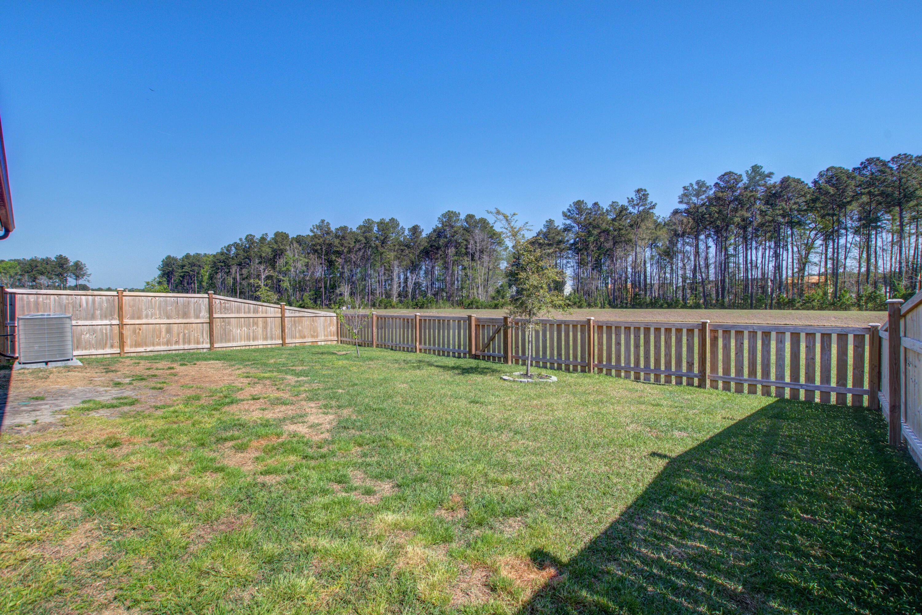 424 Water Orchid Way Moncks Corner, SC 29461 - Photo 27 of 44 Back Yard