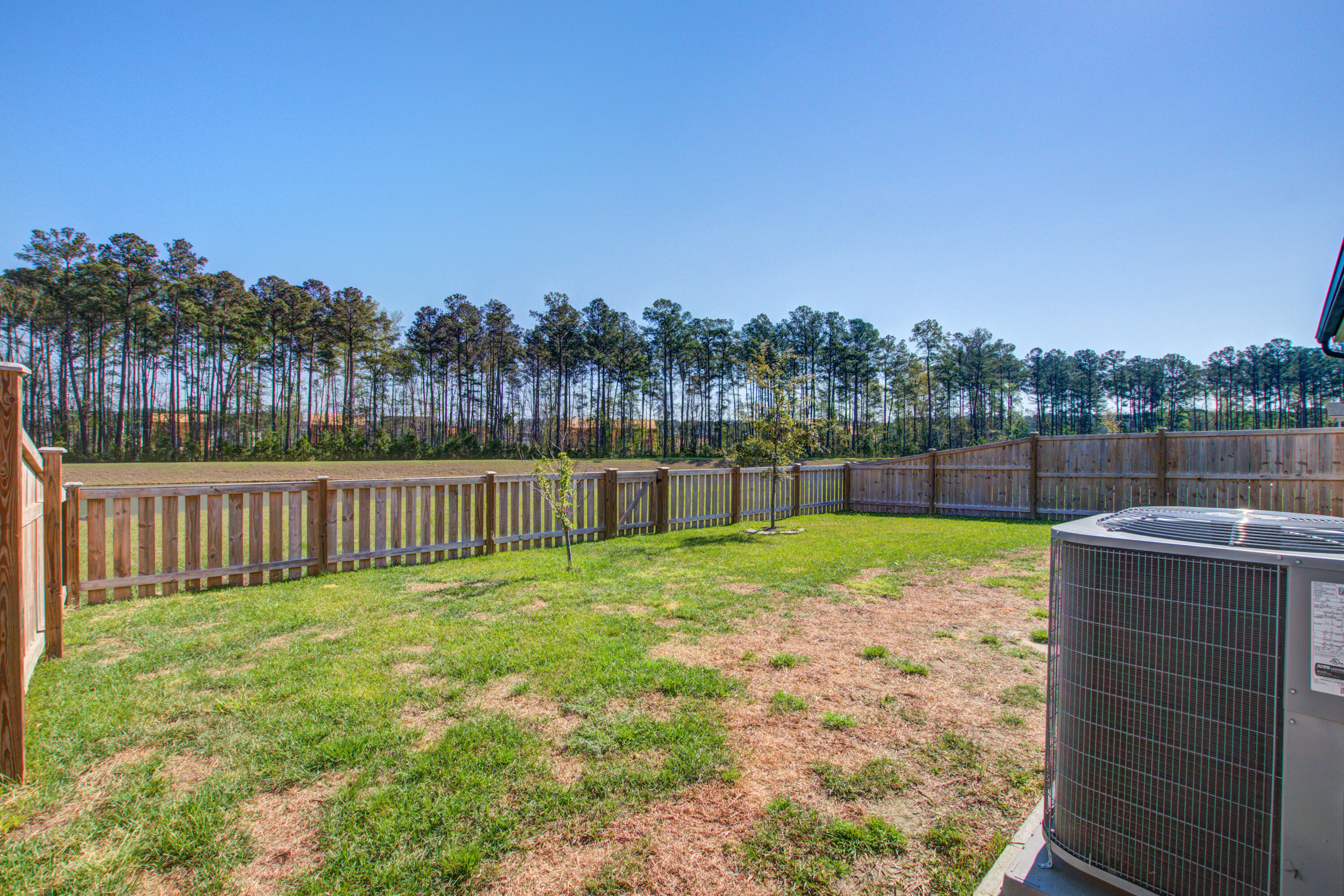 424 Water Orchid Way Moncks Corner, SC 29461 - Photo 28 of 44 Back Yard