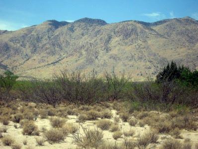 0 East Sulphur Canyon Road San Simon, AZ 85632 - Photo 6 of 8
