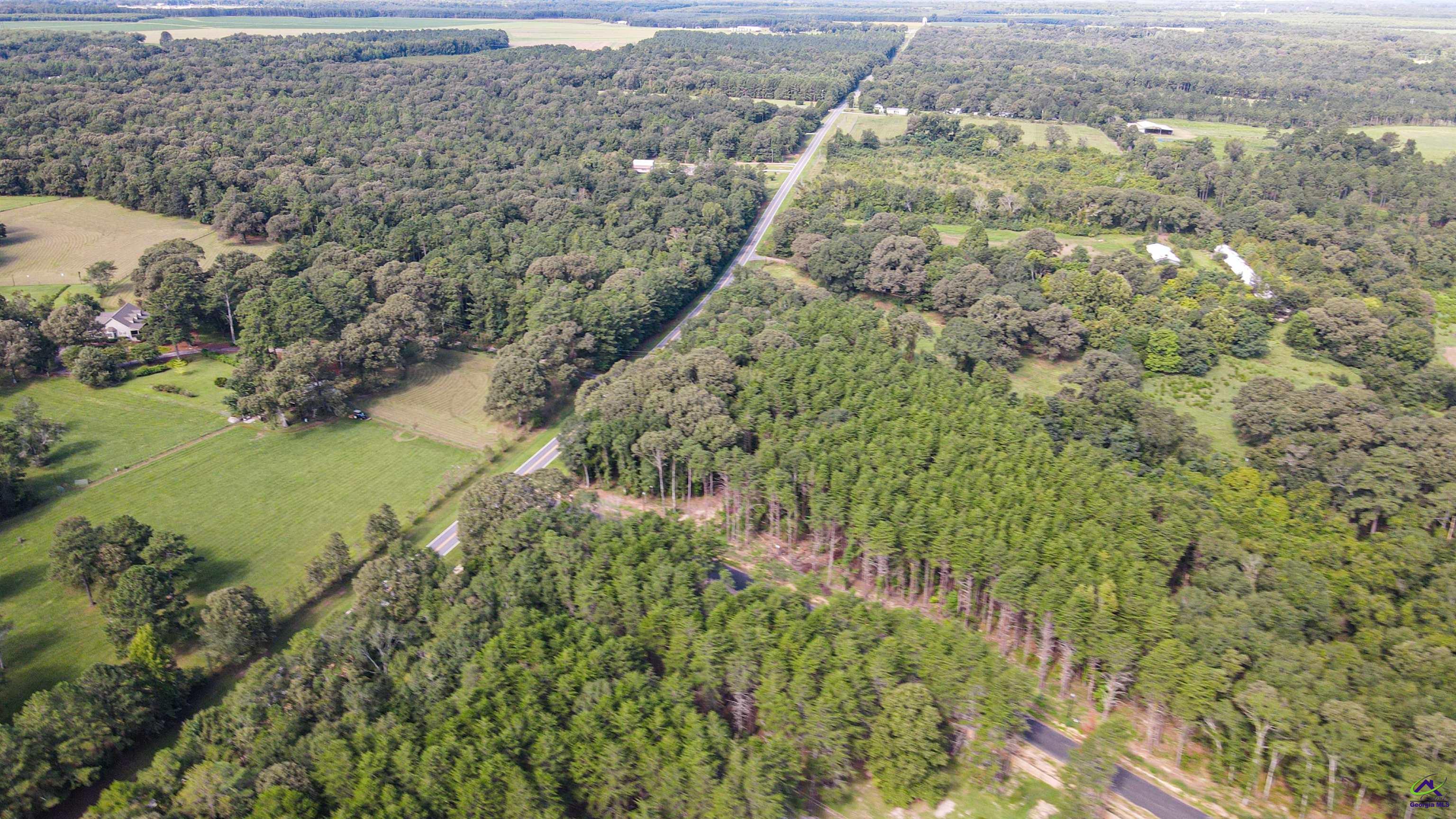 Lot 1 Trojan Way Barnesville, GA 30204 - Photo 9 of 11