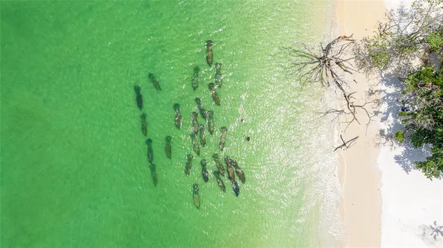 $15,000 | 22 Sandy Cove Road, Unit 105, Sarasota, FL 34242